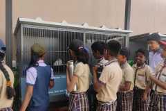 IMG-20250423-WA0013